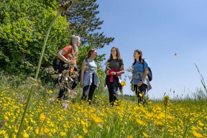 Wandern am Panoramaweg