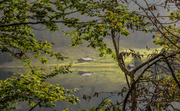 Blick über den Obersee zur Fischunkelalm