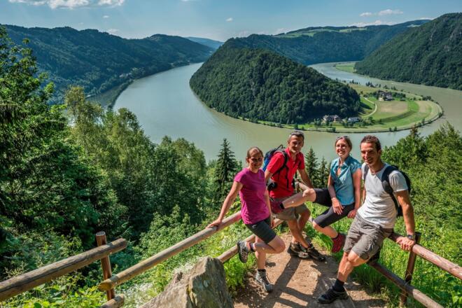 Donausteig - Schlögener Blick