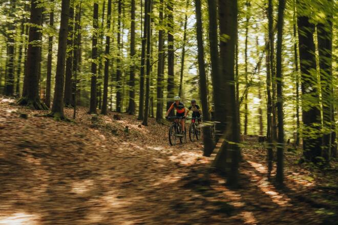 Mountainbiker im Böhmerwald
