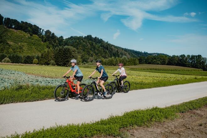 Radtour am Donauradweg Gemüsefeld Pupping Eferding