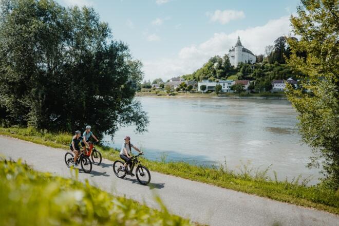 Radtour am Donauradweg Blick auf Ottensheim Wilhering