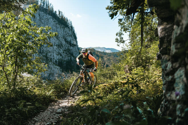 Singletrail-Passage Richtung Steyrsteg