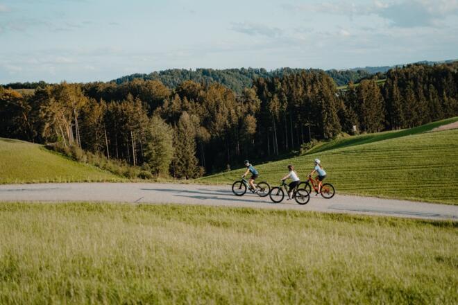 Radtour Radfahrerinnen Donauradweg