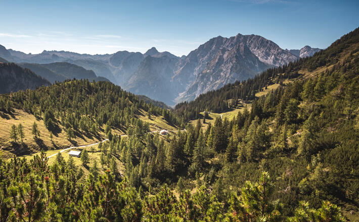 Blick über die Königsbergalm zum Watzmann
