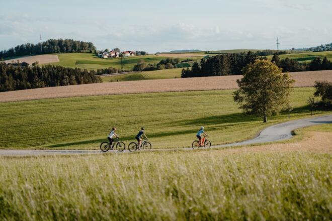 Radfahren durchs hügelige Mühlviertel
