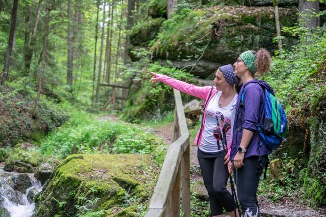 Herzklopfenrunde - Wolfsschlucht