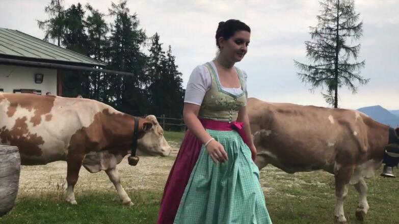 Roßfeldalm Salzburger Bauer