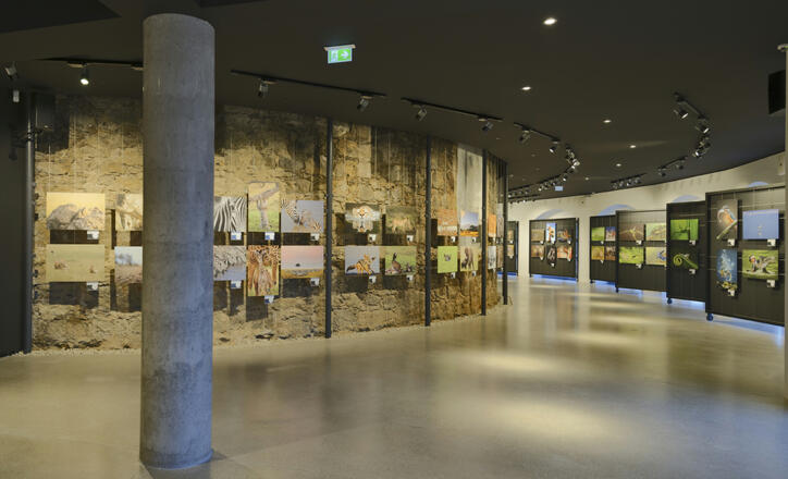 Hartlauer fotogalerie
