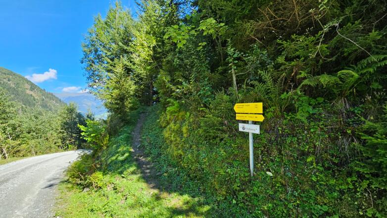 Forststraße mit Abzweigung vom Wanderweg im Mühlbachtal