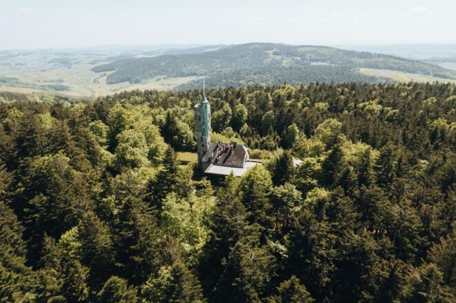Ameisbergwarte