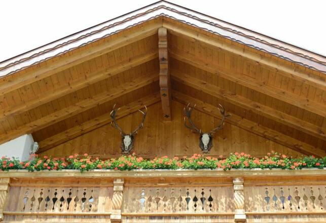 Aussenansicht im Sommer