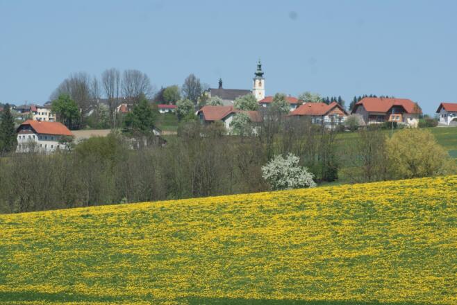 201220428-St.Agatha (1+) (48)