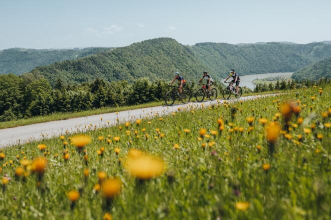 Mountainbiker am Panoramablick Kerschbaum