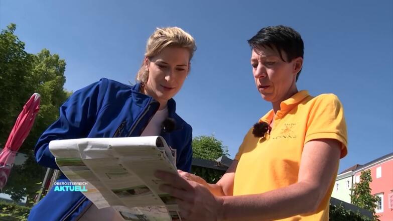 Donausteig Wandertipp: Donausteig Etappe Aschach - Wilhering