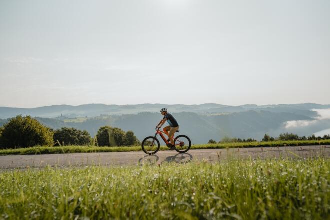 Radfahrer am Panoramablick Donautal Gemeinde St. Aegidi am Donauradweg Thron Flenkental
