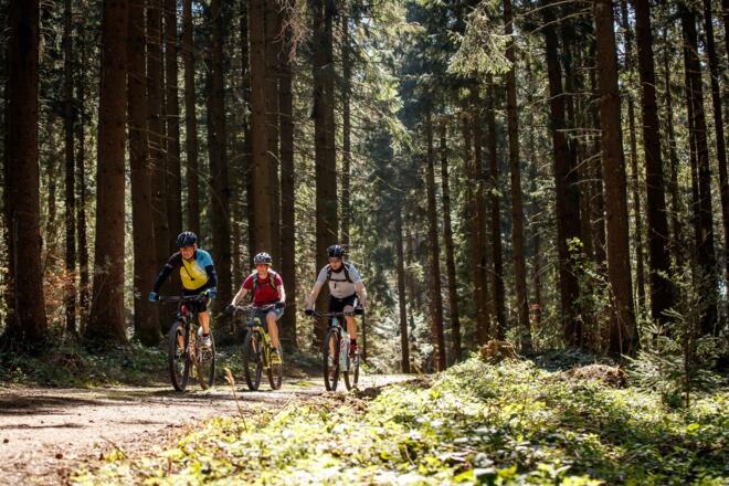 Mountainbiken in Haslach an der Mühl
