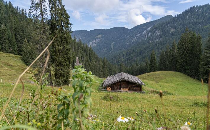 Die Dalsenalm im Lattengebirge