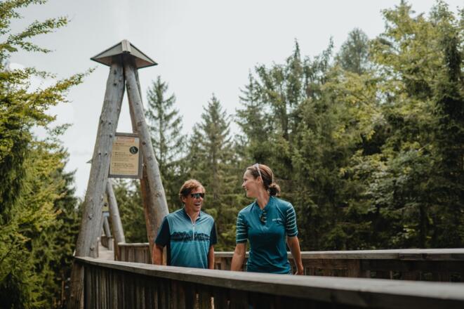 Baumkronenweg Kopfing