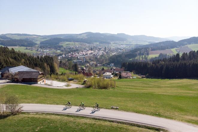Mountainbiken in Haslach an der Mühl