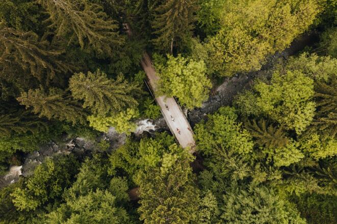 Mountainbiker fahren in der Nähe von der Zaglmühle