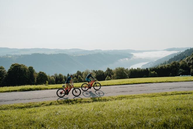 Blick ins Donautal - Panoramablick Thron