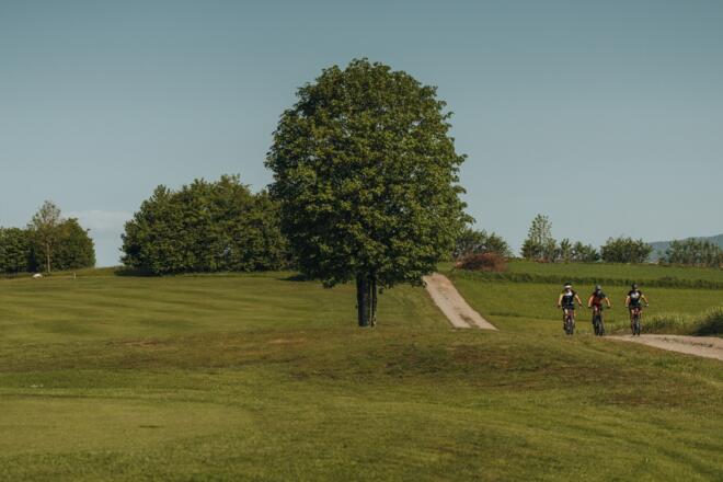 Mountainbiker beim Golfplatz Böhmerwald