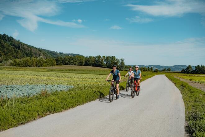 Radtour am Donauradweg Gemüsefeld Pupping Eferding