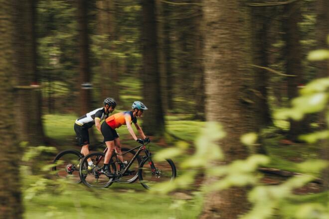 Mountainbiker fahren bei einer Baumgrenze