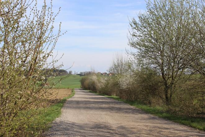 Hochwasserweg Winertsham