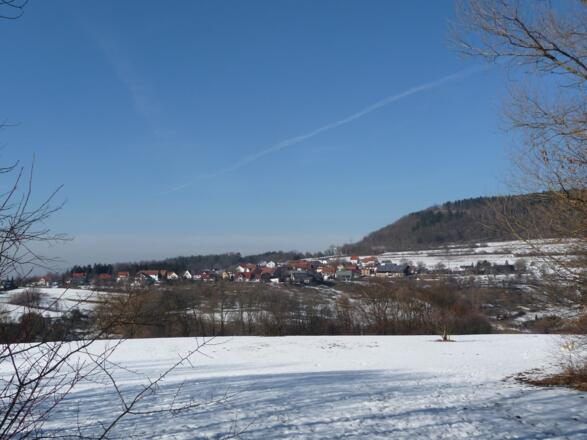 Blick auf Langenau