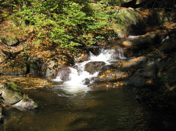 Pesenbach 1
