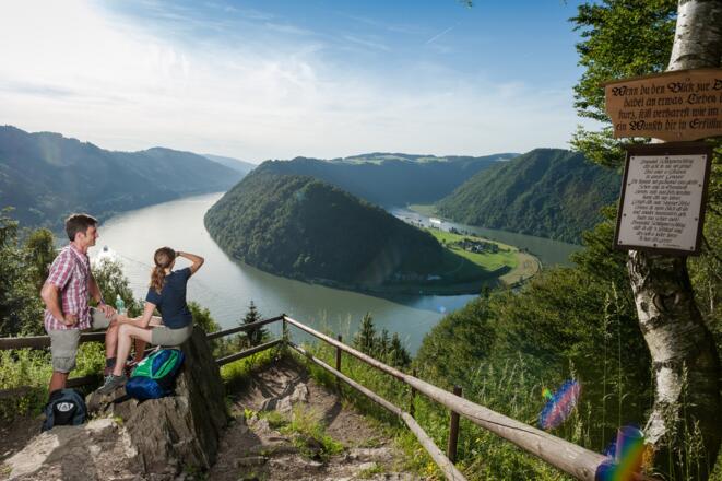 Donausteig - Schlögener Blick