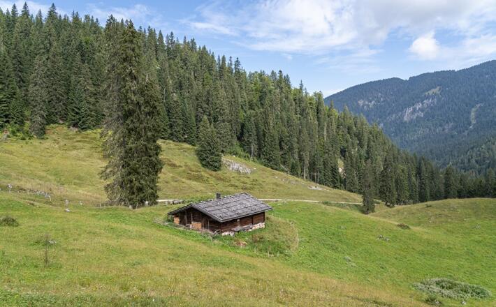 Die Dalsenalm im Lattengebirge