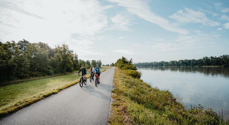 Radtour am Donauradweg bei Feldkirchen an der Donau