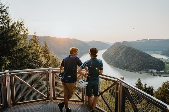 Radfahrer an der Schlögener Schlinge Haibach