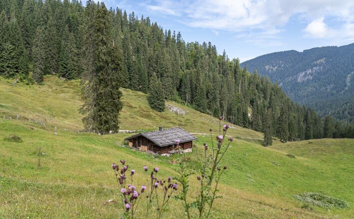 Die Dalsenalm im Lattengebirge