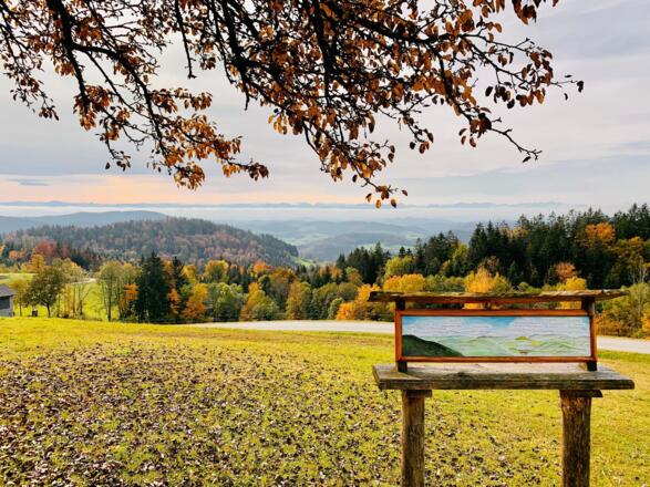 Forsthaus Hinteredt - Ausblick Windschopf