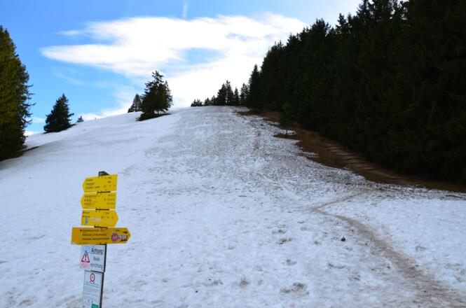 Auch der letzte Hang hinauf zur Gindelalmschneid ist noch eingezuckert.