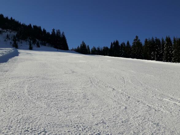 Perfekte Piste