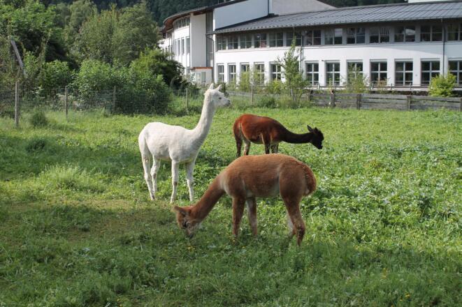 Nachbarn