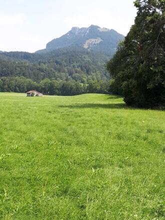 https://d1pgrp37iul3tg.cloudfront.net/objekt_pics/obj_full_28636_011.jpg