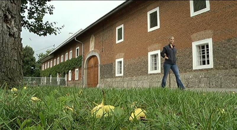 Donausteig - Wandertipp Etappe Linz - St. Florian - Enns