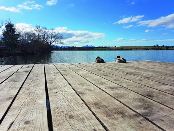 Sonnenuntergang am Bannwaldsee