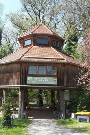 20180421_131045Bruckmühl Auwald Biotip