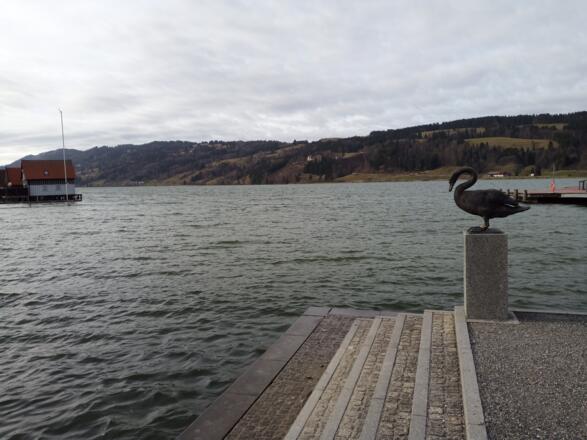 Rückblick zum Salmaser Höhe Kamm vom Badeplatz Bühl