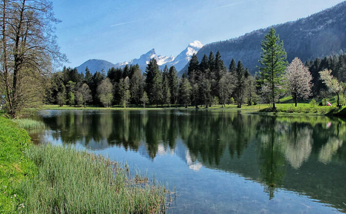 Böcklweiher mit Watzmann