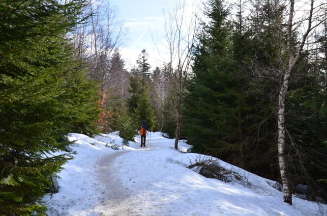 Auf dem Weg zum Gindelalmschneid haben sich noch Schneereste gehalten.