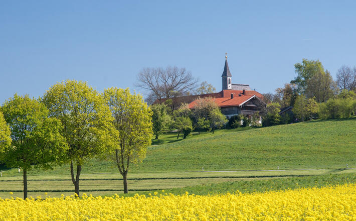 Frühling am Steinhögl