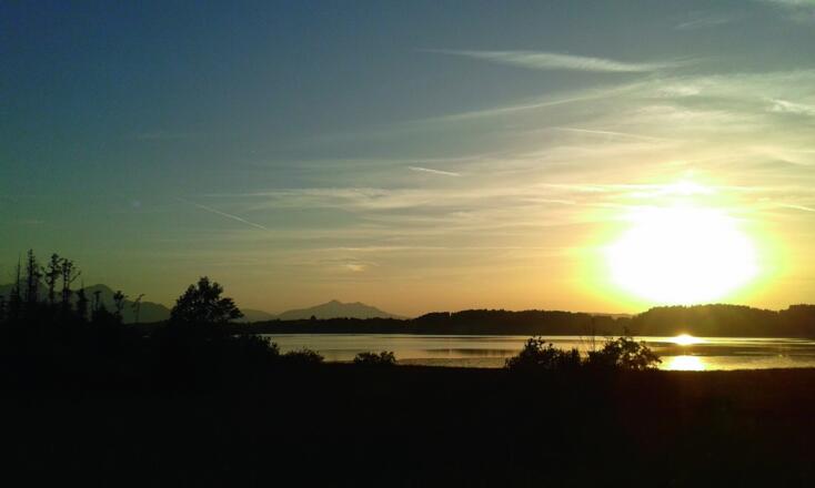 Enten am Bannwaldsee